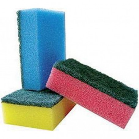 Домакинска гъба, малка, без-1046