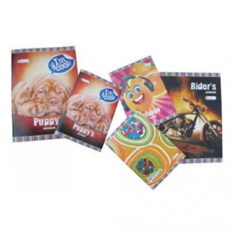 Тетрадка А4, 80 л.,-1617