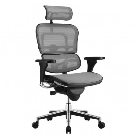 Ergohuman - сива мрежа ⋙ на цена от 999.17лв  - Allegro-bg.com