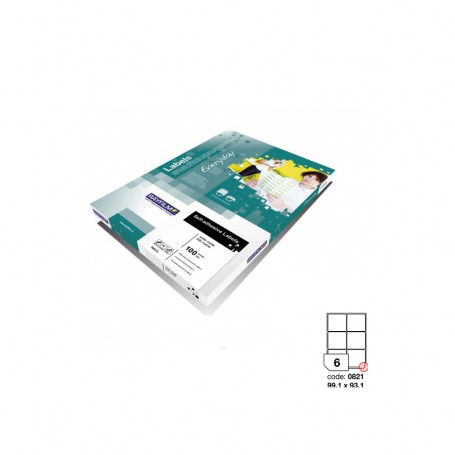 Етикети Rayfilm Everyday, 99.1 х 93.1 мм, 6 бр./лист, заоблени краища 060293