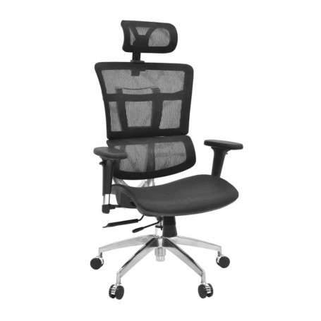 Ergonomic Chair ⋙ на цена от 699.00лв  - Allegro-bg.com
