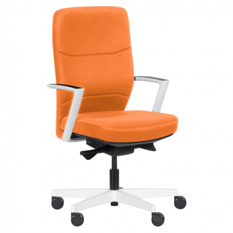 Ергономичен стол ROBIN  ⋙ на цена от 528.00лв  - Allegro-bg.com