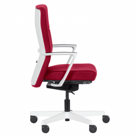 Ергономичен стол ROBIN  ⋙ на цена от 528.00лв  - Allegro-bg.com