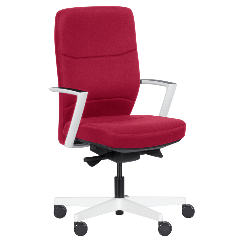 Ергономичен стол ROBIN  ⋙ на цена от 528.00лв  - Allegro-bg.com