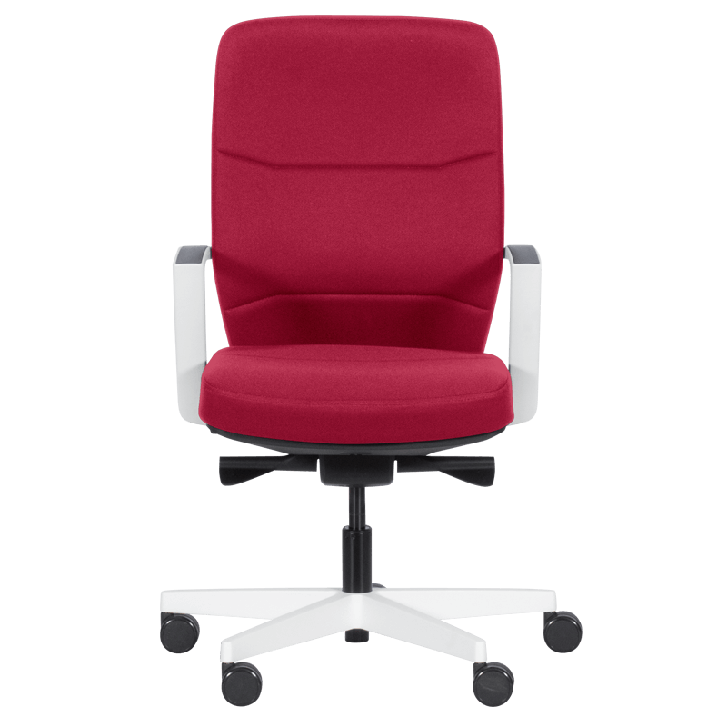 Ергономичен стол ROBIN  ⋙ на цена от 528.00лв  - Allegro-bg.com