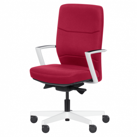 Ергономичен стол ROBIN  ⋙ на цена от 528.00лв  - Allegro-bg.com