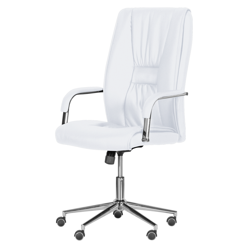 Президентски офис стол  ⋙ на цена от 294.00лв  - Allegro-bg.com