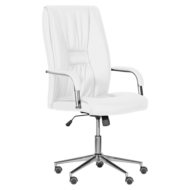 Президентски офис стол  ⋙ на цена от 294.00лв  - Allegro-bg.com