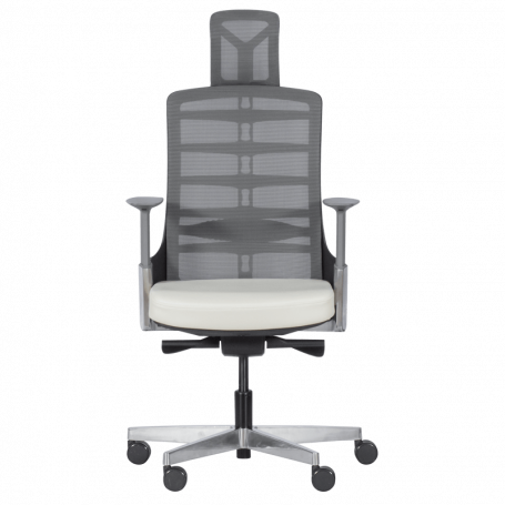 Ергономичен стол ALBERTO ⋙ на цена от 732.00лв  - Allegro-bg.com