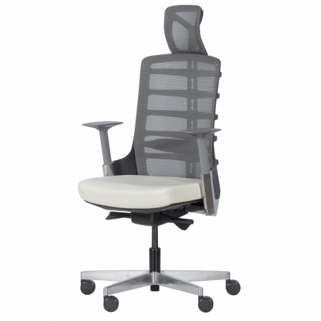 Ергономичен стол ALBERTO ⋙ на цена от 732.00лв  - Allegro-bg.com