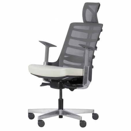 Ергономичен стол ALBERTO ⋙ на цена от 732.00лв  - Allegro-bg.com