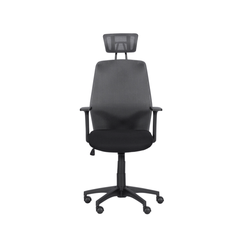 Президентски офис стол  ⋙ на цена от 189.00лв  - Allegro-bg.com