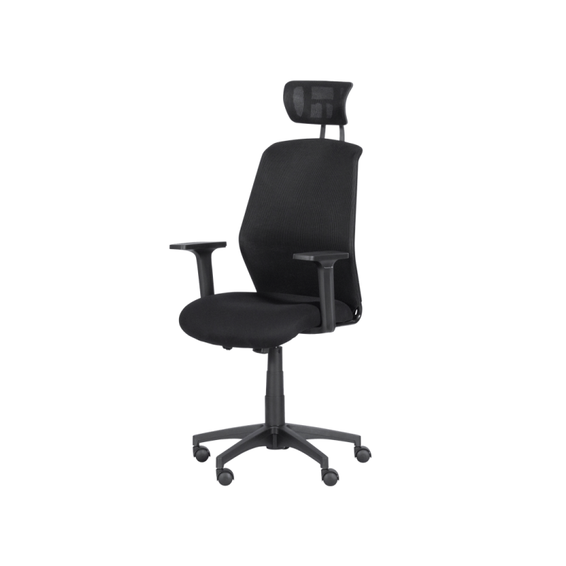 Президентски офис стол  ⋙ на цена от 189.00лв  - Allegro-bg.com