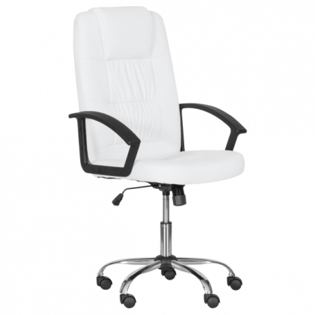 Президентски офис стол  ⋙ на цена от 223.20лв  - Allegro-bg.com