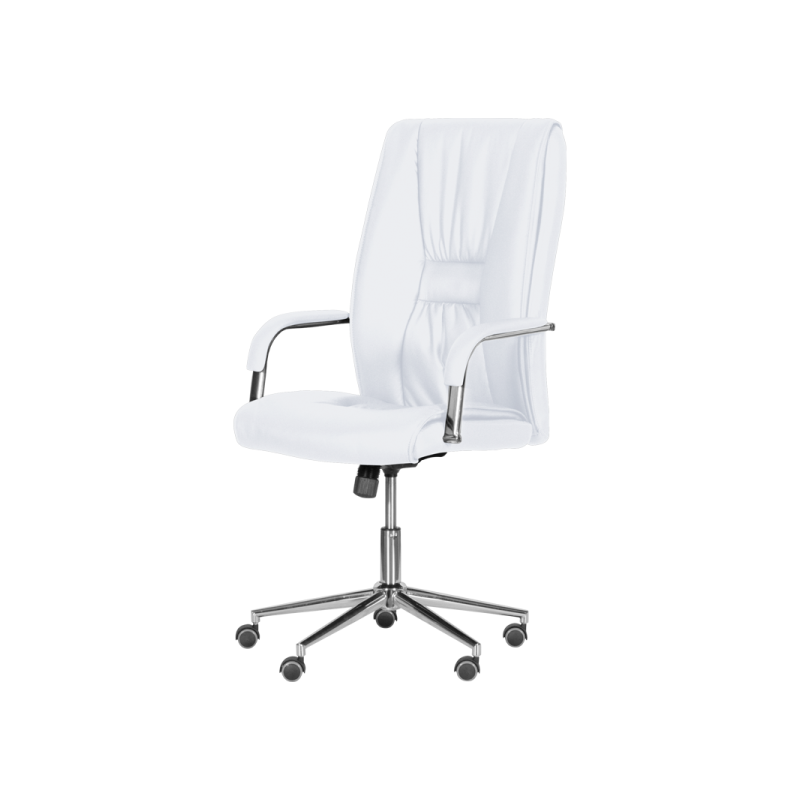 Президентски офис стол  ⋙ на цена от 279.00лв  - Allegro-bg.com