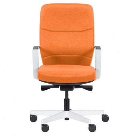 Ергономичен стол ROBIN  ⋙ на цена от 419.00лв  - Allegro-bg.com