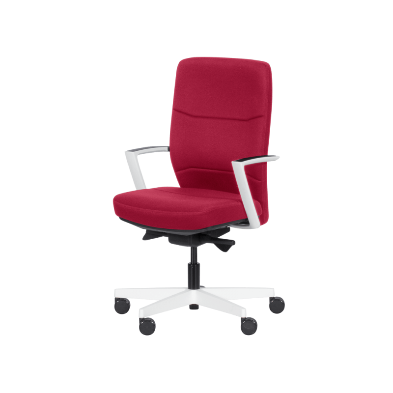 Ергономичен стол ROBIN  ⋙ на цена от 419.00лв  - Allegro-bg.com