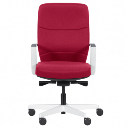 Ергономичен стол ROBIN  ⋙ на цена от 419.00лв  - Allegro-bg.com