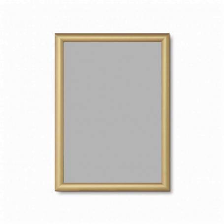 Рамка Snapframe KRA3G25GOLD, A3-4823