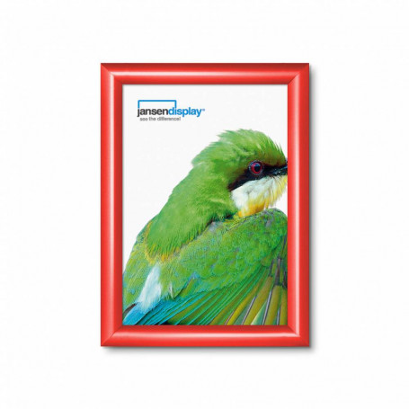 Рамка Snapframe KRA4G25, за-4934