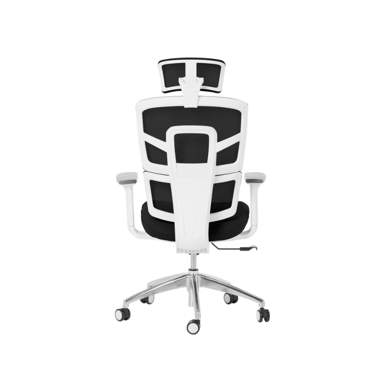 Ергономичен стол Carmen  ⋙ на цена от 409.20лв  - Allegro-bg.com