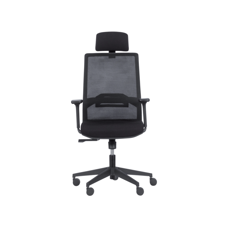 Президентски офис стол  ⋙ на цена от 309.60лв  - Allegro-bg.com