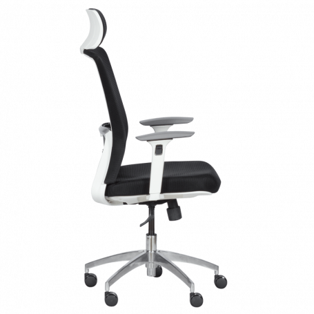 Ергономичен стол Carmen  ⋙ на цена от 349.20лв  - Allegro-bg.com