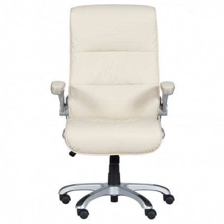 Президентски офис стол  ⋙ на цена от 240.00лв  - Allegro-bg.com