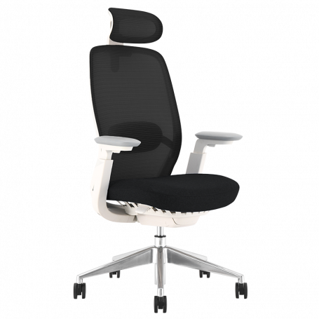 Ергономичен офис стол  ⋙ на цена от 1512.00лв  - Allegro-bg.com