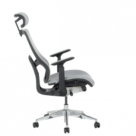 Ергономичен стол SALTO   ⋙ на цена от 756.00лв  - Allegro-bg.com