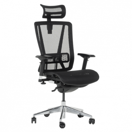 Ергономичен стол COLOMBO ⋙ на цена от 1392.00лв  - Allegro-bg.com