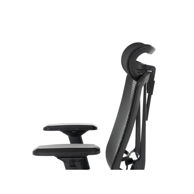 Ергономичен стол COLOMBO ⋙ на цена от 1392.00лв  - Allegro-bg.com