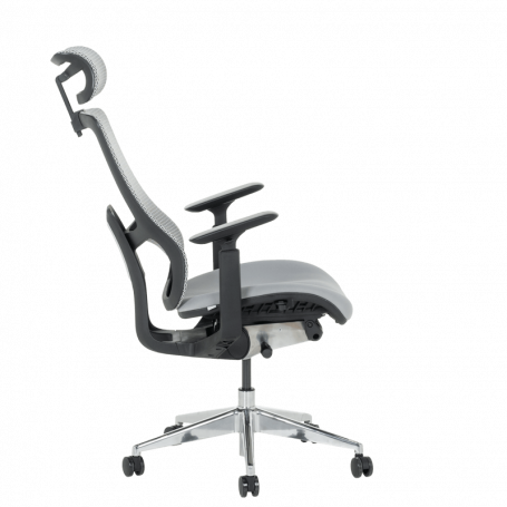 Ергономичен стол SALTO   ⋙ на цена от 756.00лв  - Allegro-bg.com