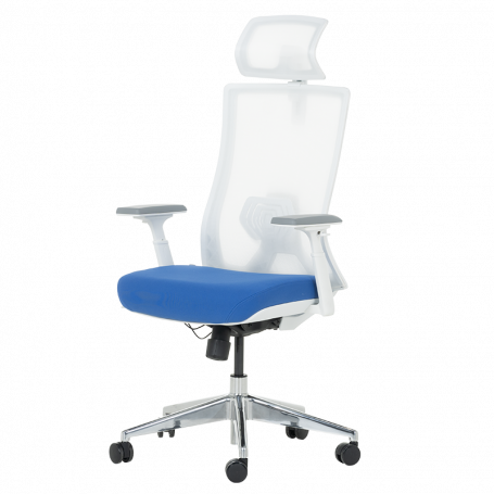 Ергономичен стол TATUI  ⋙ на цена от 492.00лв  - Allegro-bg.com