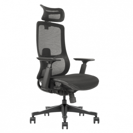 Ергономичен стол BETIM  ⋙ на цена от 660.00лв  - Allegro-bg.com