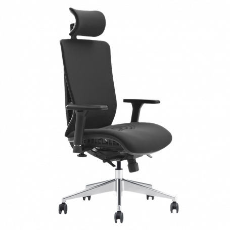 Ергономичен стол COTIA  ⋙ на цена от 780.00лв  - Allegro-bg.com