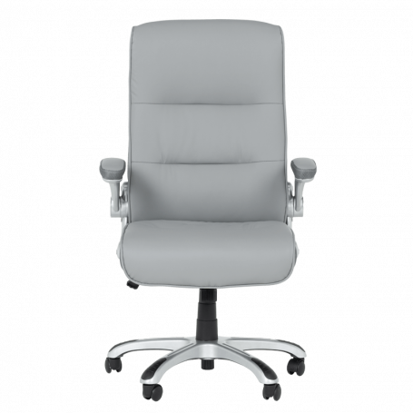 Президентски офис стол  ⋙ на цена от 276.00лв  - Allegro-bg.com