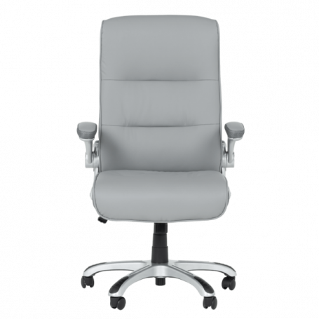 Президентски офис стол  ⋙ на цена от 276.00лв  - Allegro-bg.com