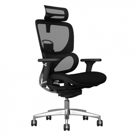 Ергономичен стол GANDER ⋙ на цена от 1260.00лв  - Allegro-bg.com