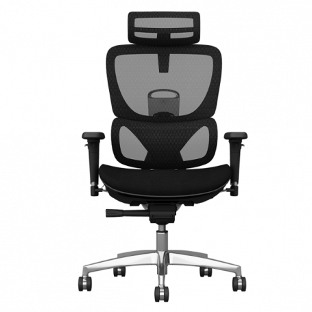 Ергономичен стол GANDER ⋙ на цена от 1260.00лв  - Allegro-bg.com