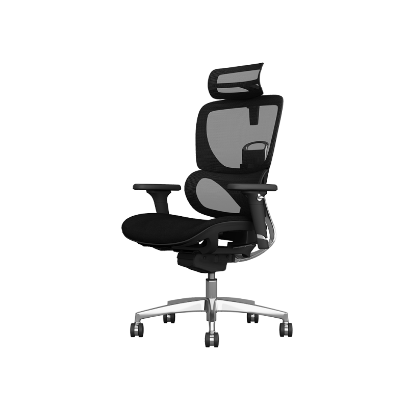 Ергономичен стол GANDER ⋙ на цена от 1260.00лв  - Allegro-bg.com