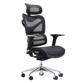 Ергономичен стол JASPER ⋙ на цена от 1104.00лв  - Allegro-bg.com