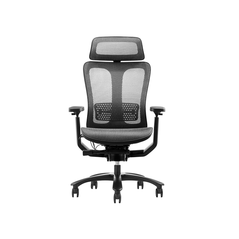 Ергономичен стол NELSON ⋙ на цена от 2184.00лв  - Allegro-bg.com