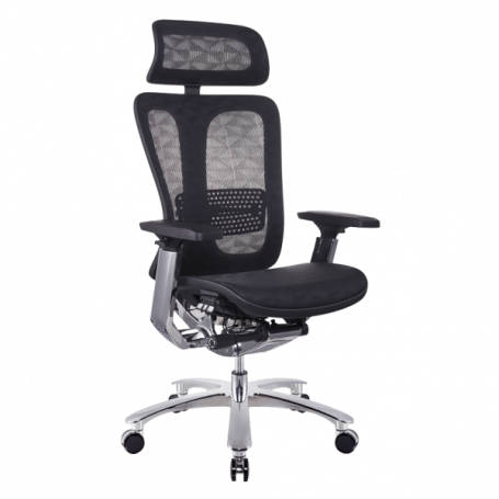 Ергономичен стол TRAIL  ⋙ на цена от 2040.00лв  - Allegro-bg.com