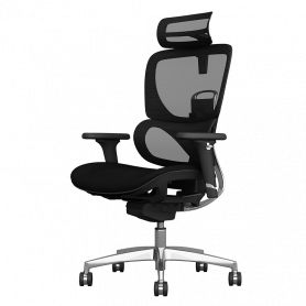 Ергономичен стол GANDER ⋙ на цена от 1260.00лв  - Allegro-bg.com