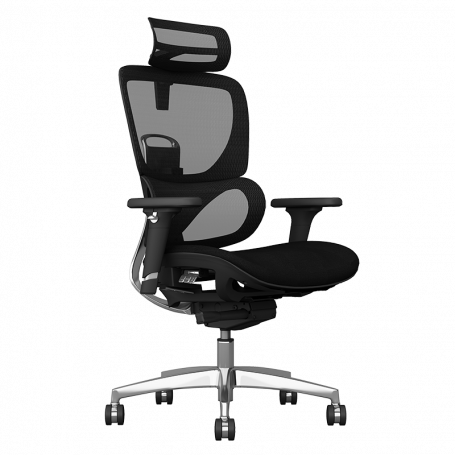 Ергономичен стол GANDER ⋙ на цена от 1260.00лв  - Allegro-bg.com