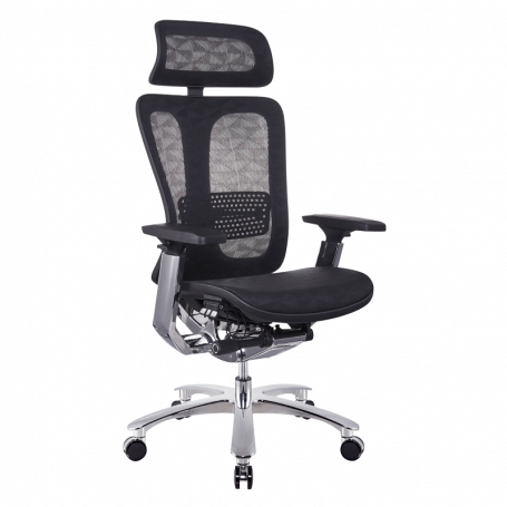 Ергономичен стол TRAIL  ⋙ на цена от 2040.00лв  - Allegro-bg.com