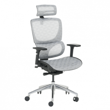 Ергономичен стол DELTA  ⋙ на цена от 972.00лв  - Allegro-bg.com