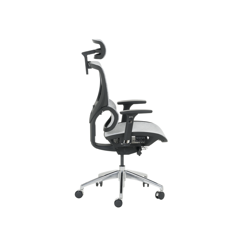 Ергономичен стол DELTA  ⋙ на цена от 972.00лв  - Allegro-bg.com