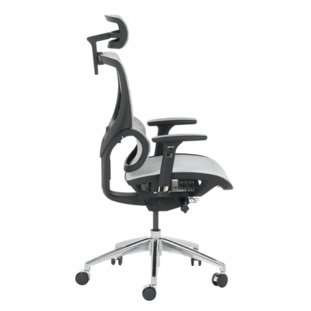 Ергономичен стол DELTA  ⋙ на цена от 972.00лв  - Allegro-bg.com